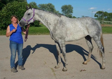 Sunset Ridge Stables Pam Berkenpas